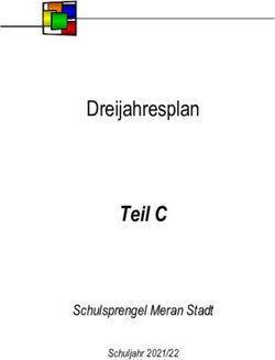 Teil C Dreijahresplan - Schulsprengel Meran Stadt - ssp-meranstadt.it