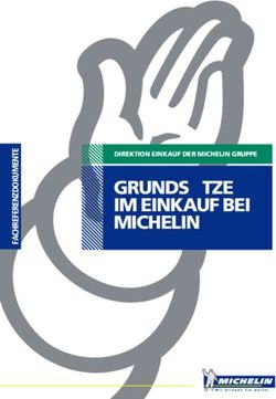GRUNDS&Auml;TZE IM EINKAUF BEI MICHELIN - DIREKTION EINKAUF DER MICHELIN GRUPPE
