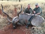 Südafrika LIMPOPO - Jagdabenteuer und Urlaub! - Profijagdreisen Dr. Lechner