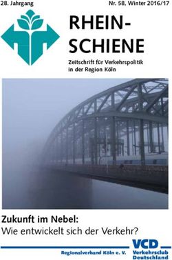RHEIN-SCHIENE - Zukunft im Nebel: Wie entwickelt sich der Verkehr? - VCD-Landesverband NRW