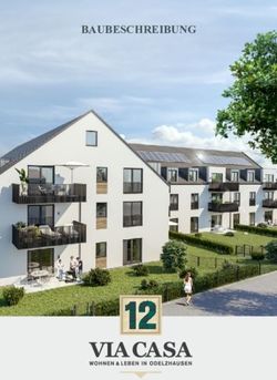 BAUBESCHREIBUNG - VIA CASA 12