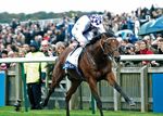 Gewinnen Sie einen Vorsprung - Gain Horse Feeds