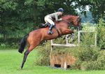 Gewinnen Sie einen Vorsprung - Gain Horse Feeds