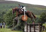 Gewinnen Sie einen Vorsprung - Gain Horse Feeds