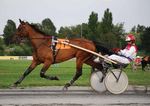 Gewinnen Sie einen Vorsprung - Gain Horse Feeds