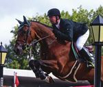 Gewinnen Sie einen Vorsprung - Gain Horse Feeds