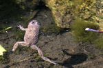 Informationen Natur und Naturschutz im Bezirk Schärding - Natur und Naturschutz im Bezirk Schärding