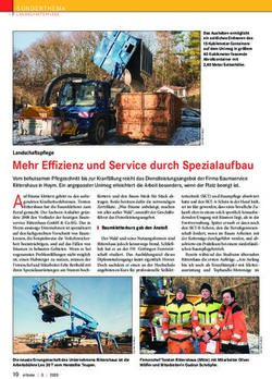MEHR EFFIZIENZ UND SERVICE DURCH SPEZIALAUFBAU - SONDER THEMA - CHEMNITZER ...