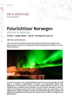 Polarlichttour Norwegen - 03.02.2021 bis 08.02.2021 Troms&ouml; - Lyngen Alpen - Fjorde - Hurtigruten (optional) - Art & Adventure