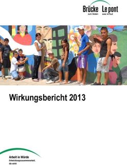 Wirkungsbericht 2013 - Brücke Le pont