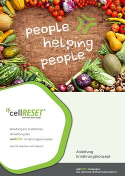 Anleitung Ern&auml;hrungskonzept - Anleitung zur praktischen Umsetzung des cellRESET