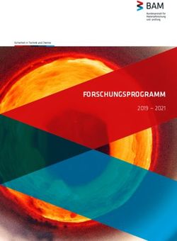 FORSCHUNGSPROGRAMM 2019 2021 - BAM