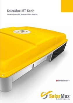 SolarMax MT-Serie Das Kraftpaket für eine maximale Rendite.