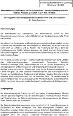 Schleswig-Holsteinischer Landtag Umdruck 19/4856 - Landtag SH
