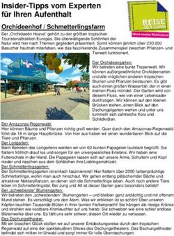 Insider-Tipps vom Experten f&uuml;r Ihren Aufenthalt - Reise365.com