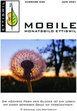 MOBILE MONATSBILD ETTISWIL - Die höchste Form des Glücks ist ein Leben mit einem gewissen Grad an Verrücktheit.