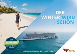 DER WINTER WIRD SCH&Ouml;N - SICHERHEIT MIT - clubschiff-profis.de