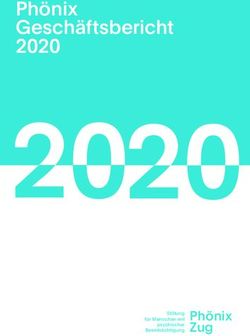 Ph&ouml;nix Gesch&auml;ftsbericht 2020 - Ph&ouml;nix