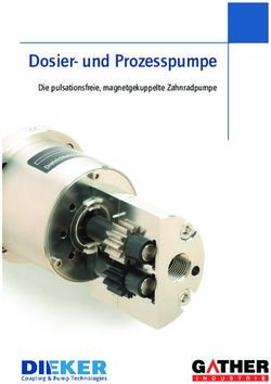Dosier- und Prozesspumpe - Die pulsationsfreie, magnetgekuppelte Zahnradpumpe - dieker.at