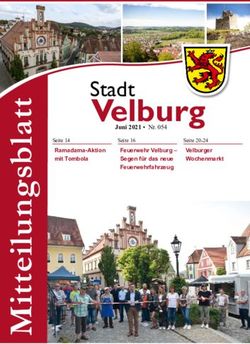 T Velburg Stadt Juni 2021 Nr. 054 - Stadt Velburg