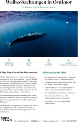 Walbeobachtungen in Osttimor - Im Element mit den Riesen der Meere - Sense of Travel