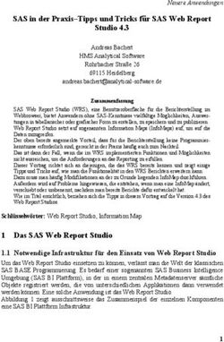 SAS in der Praxis-Tipps und Tricks f&uuml;r SAS Web Report Studio 4.3