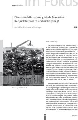 Finanzmarktkrise und globale Rezession - Konjunkturpakete sind nicht genug!