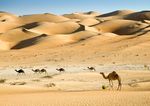 Emirates Palace Abu Dhabi - ITS Coop Travel