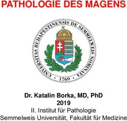 PATHOLOGIE DES MAGENS - DR. KATALIN BORKA, MD, PHD 2019 II. INSTITUT F&Uuml;R PATHOLOGIE