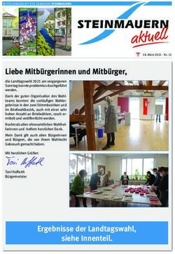 Liebe Mitb&uuml;rgerinnen und Mitb&uuml;rger, Steinmauern