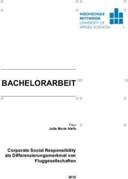 BACHELORARBEIT Corporate Social Responsibility als Differenzierungsmerkmal von Fluggesellschaften - Hochschule Mittweida