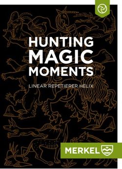 LINEAR REPETIERER HELIX - Merkel Jagd