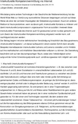 Interkulturelle Kompetenzvermittlung via Internet