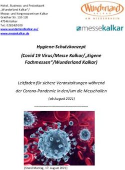 Hygiene-Schutzkonzept (Covid 19 Virus/Messe Kalkar/"Eigene Fachmessen"/Wunderland Kalkar)