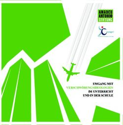 UMGANG MIT VERSCHWÖRUNGSIDEOLOGIEN IM UNTERRICHT UND IN DER SCHULE - Amadeu ...