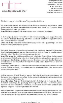 Zielsetzungen der Neuen Tagesschule Chur