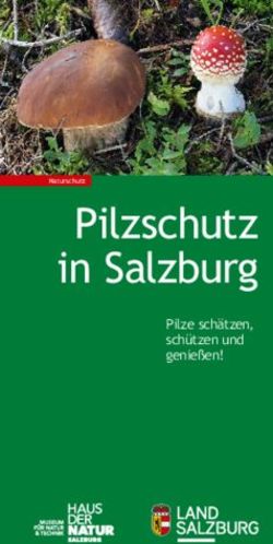 Pilzschutz in Salzburg - Pilze sch&auml;tzen, sch&uuml;tzen und genie&szlig;en! - Land Salzburg