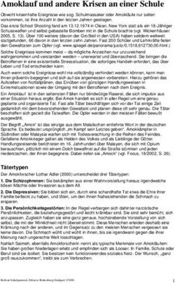 Amoklauf und andere Krisen an einer Schule