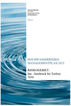 HOCHWASSERRISIKO-MANAGEMENTPLAN 2015 RISIKOGEBIET: Inn - Innsbruck bis Terfens 7030