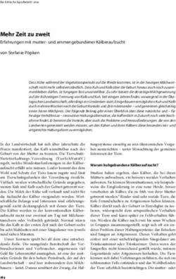 Mehr Zeit zu zweit Erfahrungen mit mutter- und ammengebundener K&auml;lberaufzucht von Stefanie P&ouml;pken