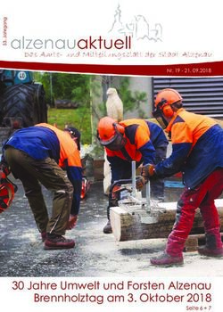 30 Jahre Umwelt und Forsten Alzenau Brennholztag am 3. Oktober 2018 - Nr. 19 09.2018 - Seite 6 + 7