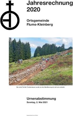 Jahresrechnung 2020 Ortsgemeinde Flums-Kleinberg - Urnenabstimmung Sonntag, 2. Mai 2021
