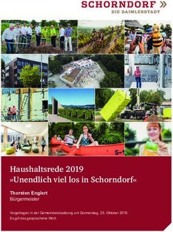 Haushaltsrede 2019 "Unendlich viel los in Schorndorf" - Thorsten Englert Bürgermeister - Stadt Schorndorf