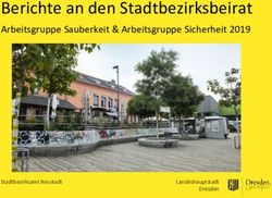Berichte an den Stadtbezirksbeirat - Arbeitsgruppe Sauberkeit & Arbeitsgruppe Sicherheit 2019 - Ratsinfo Dresden