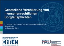 Gesetzliche Verankerung von menschenrechtlichen Sorgfaltspflichten - Runder Tisch Bayern: Sozial- und Umweltstandards bei Unternehmen 16 ...