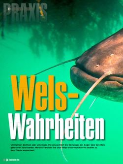 RAUBFISCH-PRAXIS - Martin Friedrichs