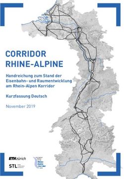 CORRIDOR RHINE-ALPINE - STL - Handreichung zum Stand der Eisenbahn- und Raumentwicklung am Rhein-Alpen Korridor - Metropolregion Rheinland