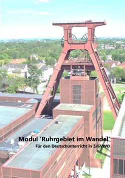 Modul 'Ruhrgebiet im Wandel' - Für den Deutschunterricht in 5/6VWO - Universiteit Leiden