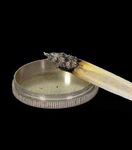 Cannabis - Villa Sch&ouml;pflin