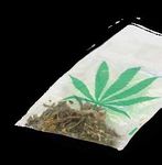 Cannabis - Villa Sch&ouml;pflin